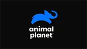 Logo do canal Animal Planet