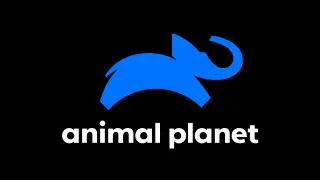 Logo do canal, Animal Planet